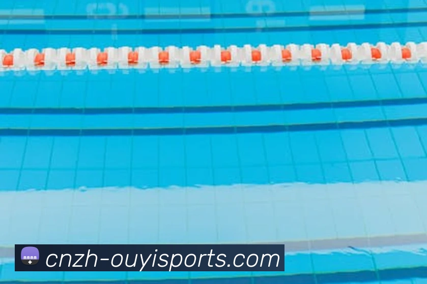 体育下注平台生态图